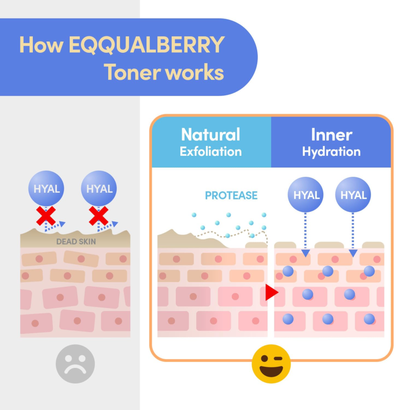 EQQUALBERRY Swimming Pool Daily Facial Toner 300ml